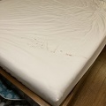 Bed Sheet Carnage